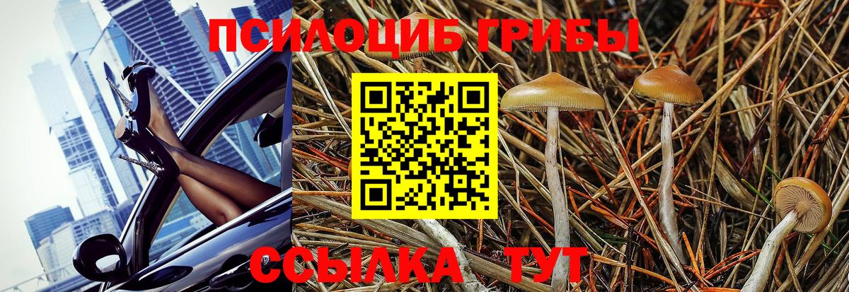 Кольчугино  Псилоцибиновые грибы MAGIC MUSHROOMS  Вход с VPN 